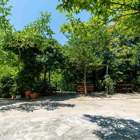 Guesthouse Papachristou ツァガラダ エクステリア 写真