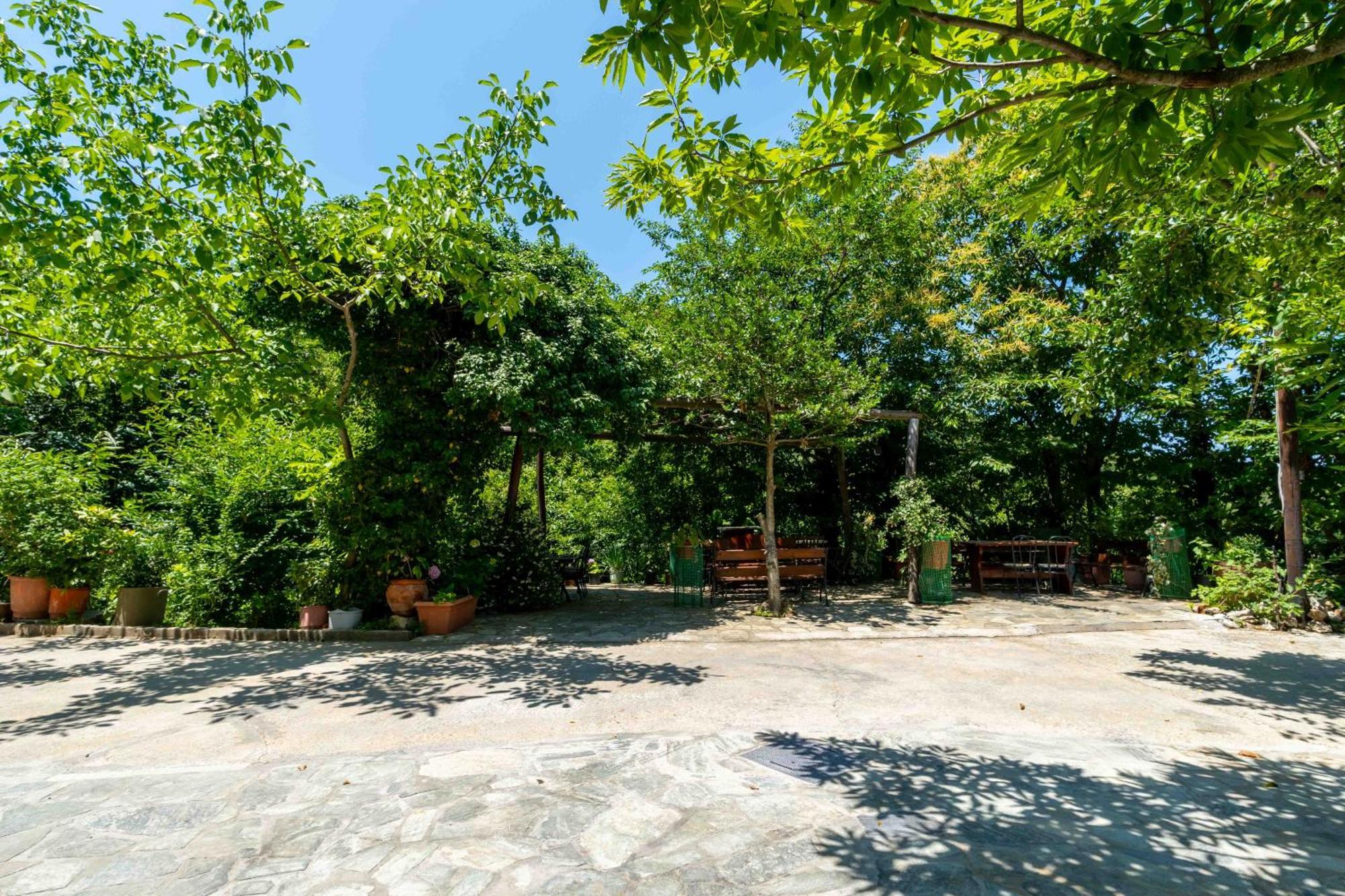 Guesthouse Papachristou ツァガラダ エクステリア 写真