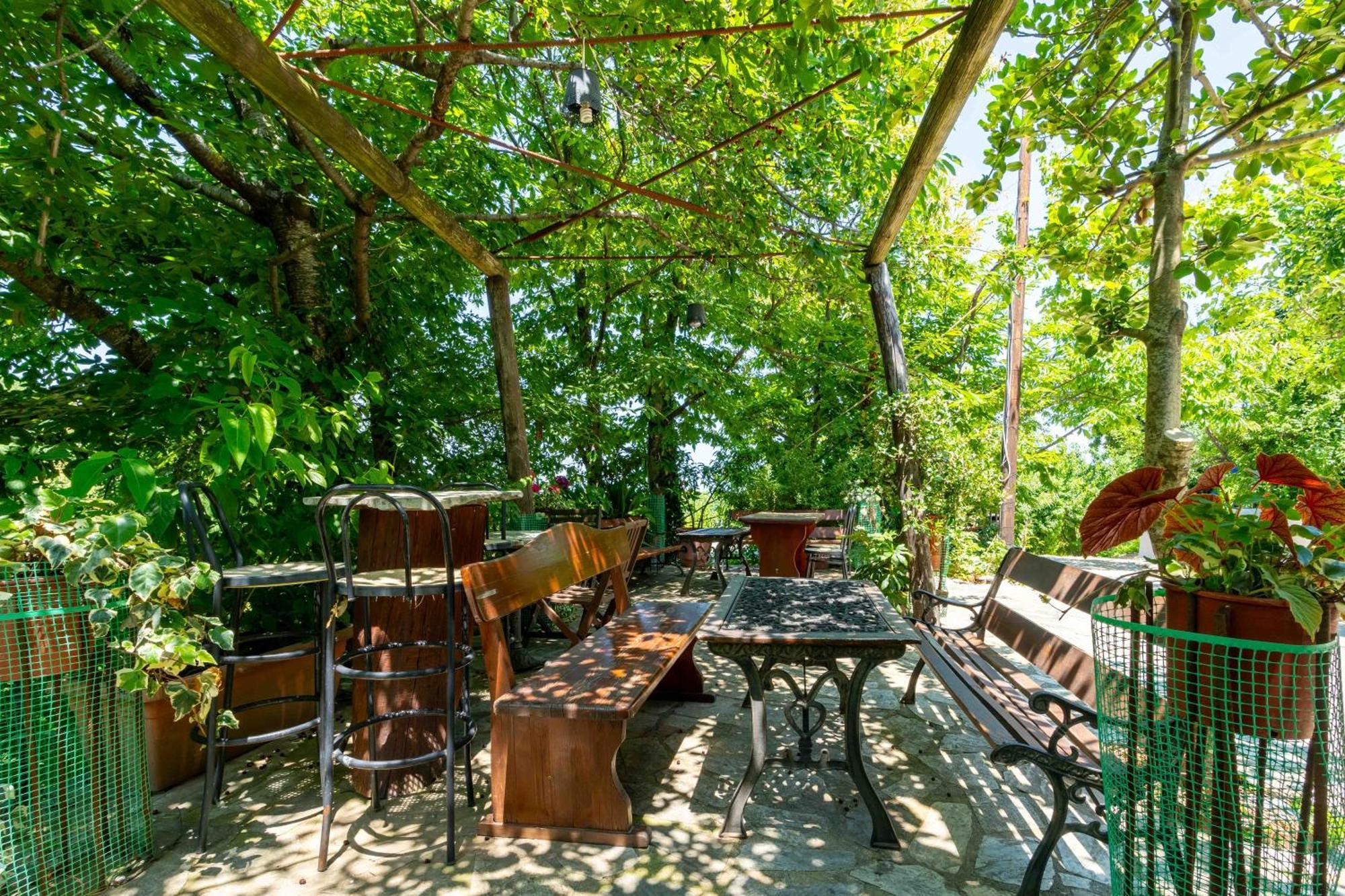 Guesthouse Papachristou ツァガラダ エクステリア 写真